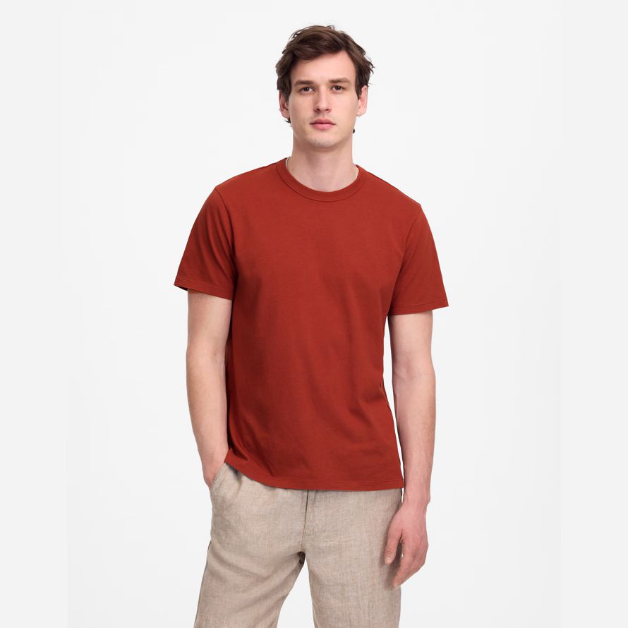 madewell garment-dyed allday crewneck mens t-shirts red brown