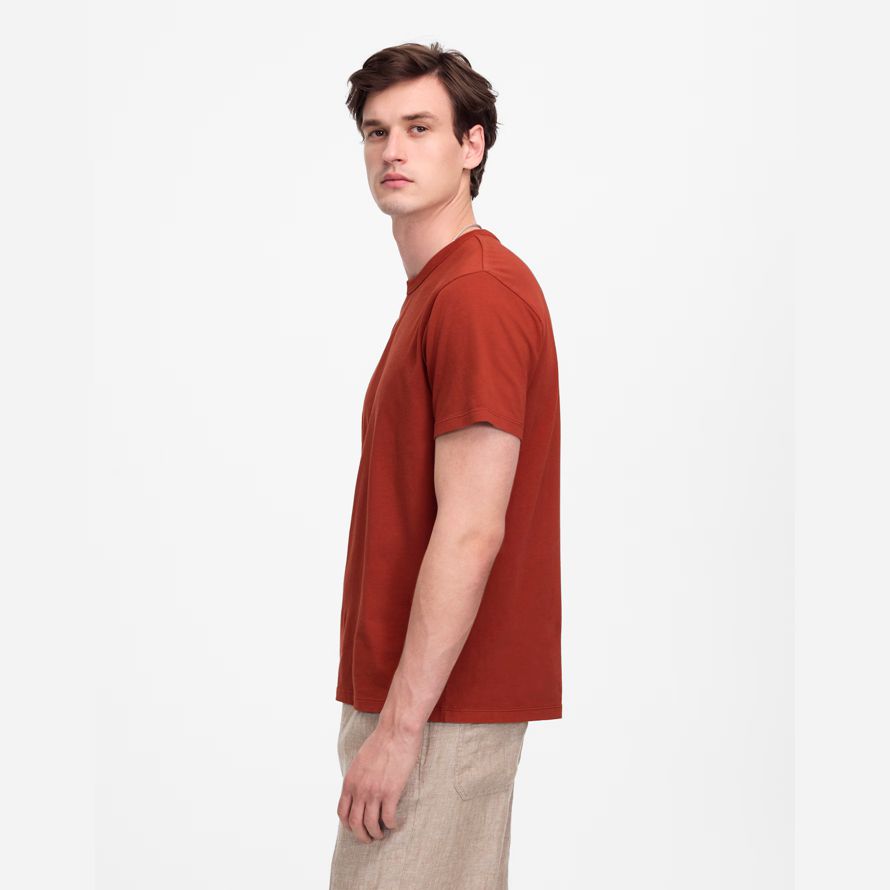 madewell garment-dyed allday crewneck mens t-shirts red brown