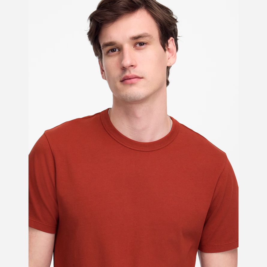 madewell garment-dyed allday crewneck mens t-shirts red brown