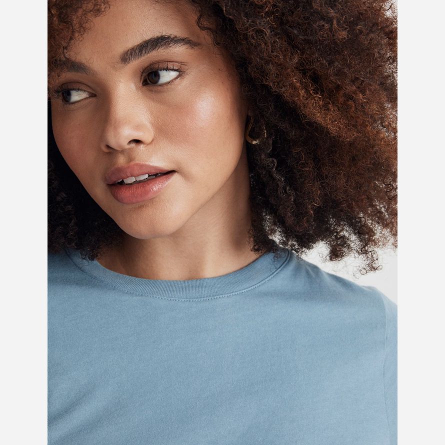 womens madewell softfade cotton boxy-crop t-shirts blue
